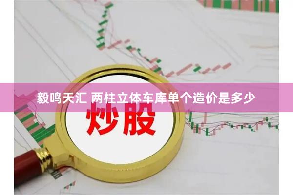 毅鸣天汇 两柱立体车库单个造价是多少