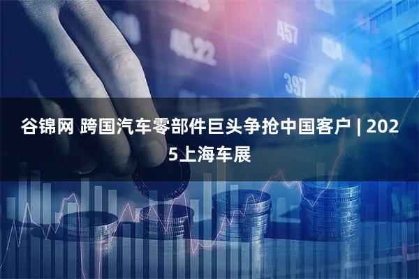 谷锦网 跨国汽车零部件巨头争抢中国客户 | 2025上海车展