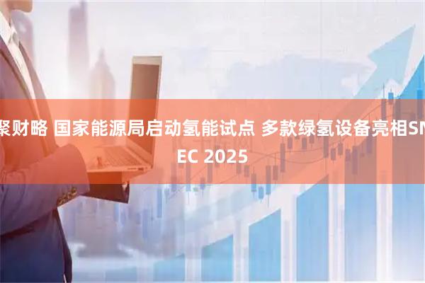 聚财略 国家能源局启动氢能试点 多款绿氢设备亮相SNEC 2025