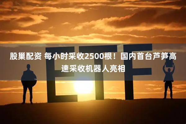 股巢配资 每小时采收2500根！国内首台芦笋高速采收机器人亮相